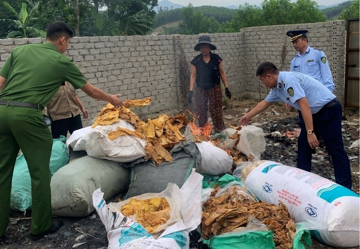Tiêu hủy 150 kg măng khô không rõ nguồn gốc