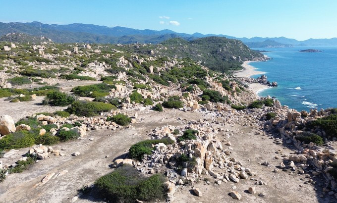 Việt Nam sở hữu khu rừng 30.000ha hiếm có bậc nhất Đông Nam Á, nằm trong VQG được UNESCO công nhận - ảnh 2