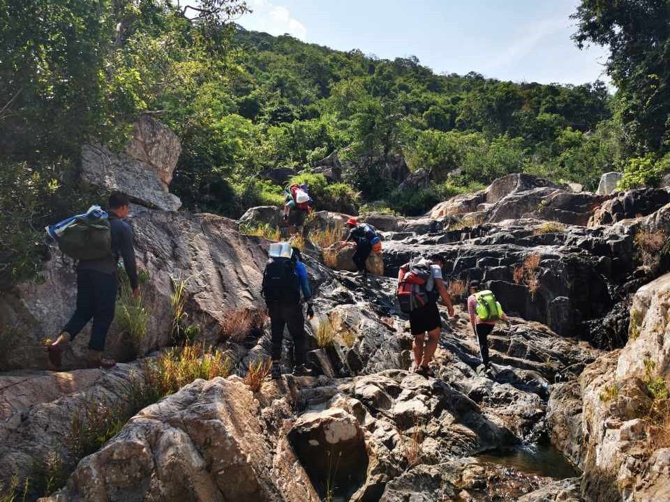 Việt Nam sở hữu khu rừng 30.000ha hiếm có bậc nhất Đông Nam Á, nằm trong VQG được UNESCO công nhận - ảnh 4
