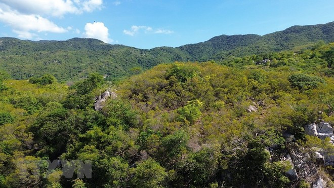 Việt Nam sở hữu khu rừng 30.000ha hiếm có bậc nhất Đông Nam Á, nằm trong VQG được UNESCO công nhận - ảnh 1
