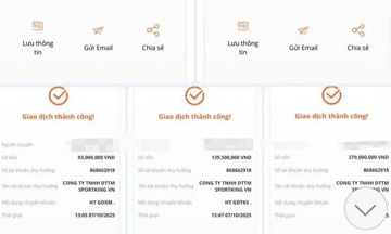 Tham gia nhóm pickleball trên mạng, người phụ nữ bị lừa mất hơn 600 triệu đồng