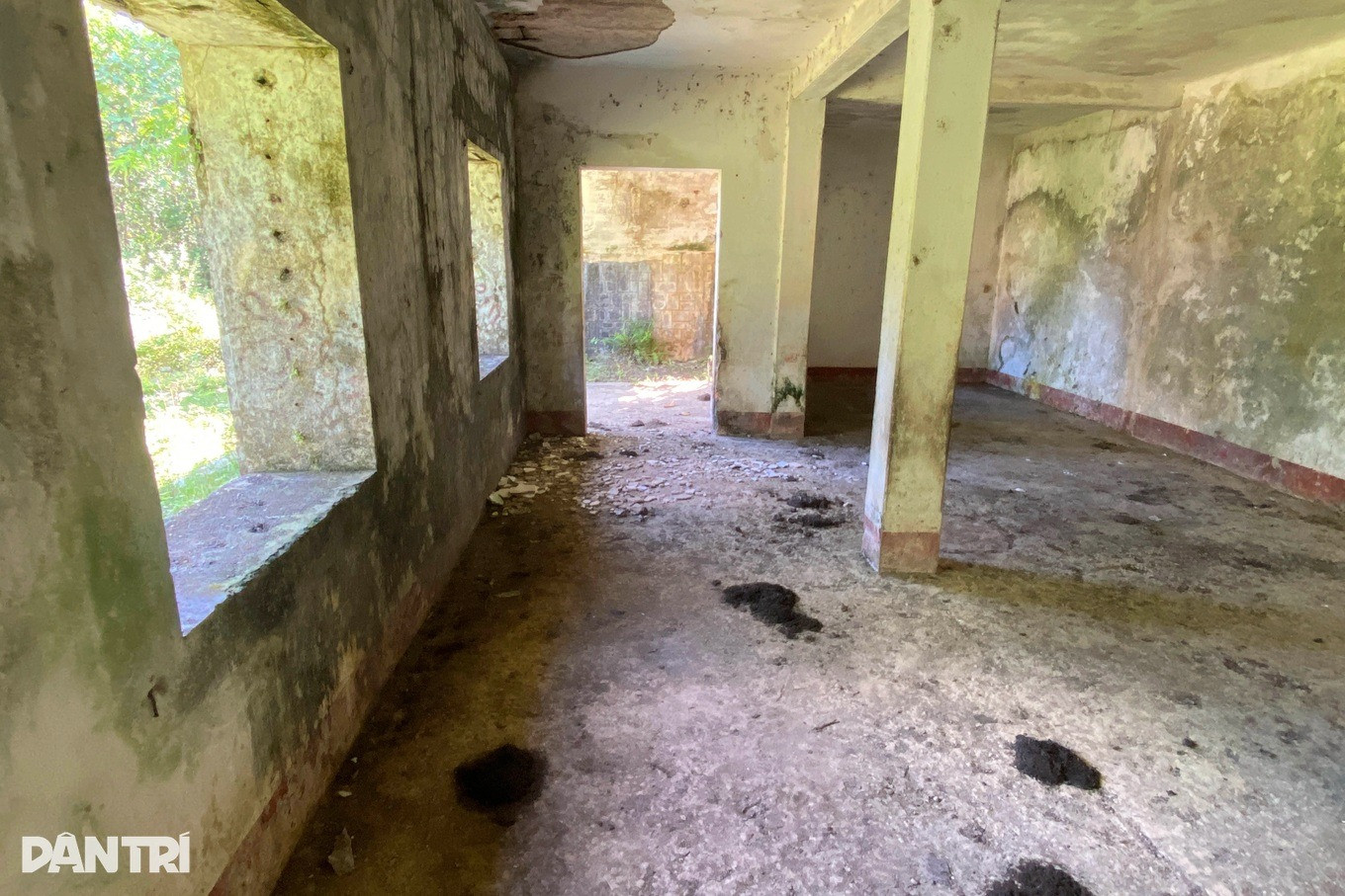 Biệt thự một thời của 'lãnh chúa miền Trung' bị bỏ hoang hơn 6 thập niên: Nhiều hạng mục xuống cấp, phân gia súc vương vãi- Ảnh 4.