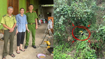 Phát hiện loài chim mỏ lớn bay vào vườn, ông Dung làm ngay một việc, công an lập tức tới nhà