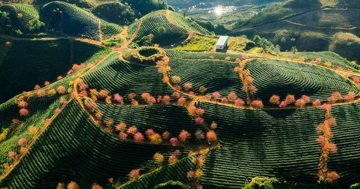 Liên danh Ecopark sẽ làm khu đô thị sinh thái gần 2.500 tỷ tại Lào Cai