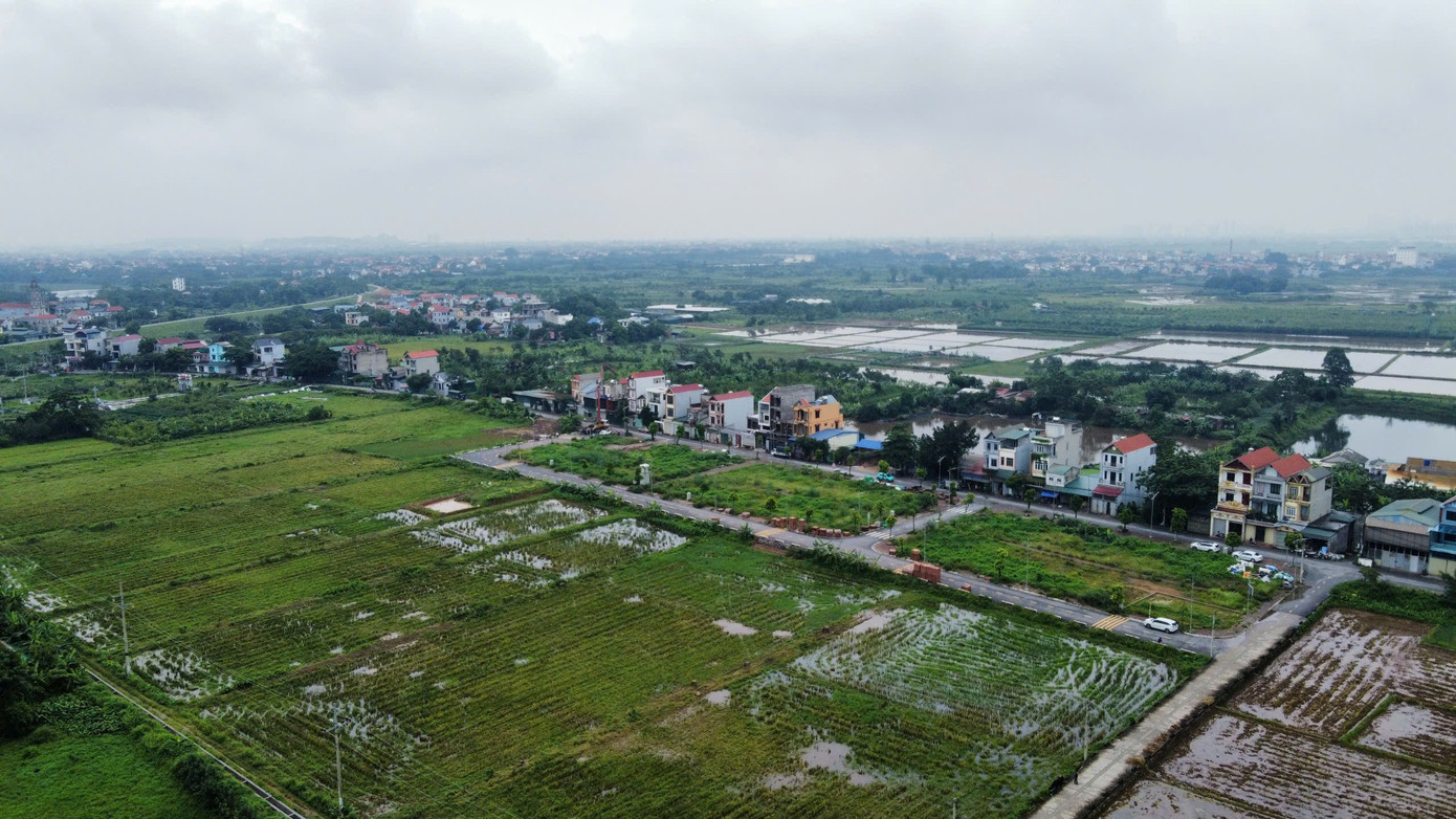 Nghị định số 292 quy định các đối tượng được miễn thuế sử dụng đất nông nghiệp áp dụng từ năm 2026 đến hết năm 2030. z6764456715620-455f04d7fcff1d99dadf7387aeeceb52.jpg