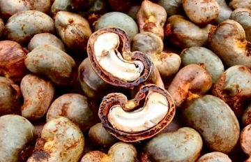 Là 'ông trùm' xuất khẩu, Việt Nam vẫn chi hơn 4 tỷ USD nhập mặt hàng này