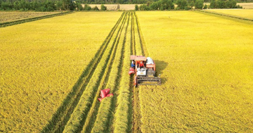 NÓNG: Tiếp tục miễn thuế sử dụng đất nông nghiệp đến hết năm 2030