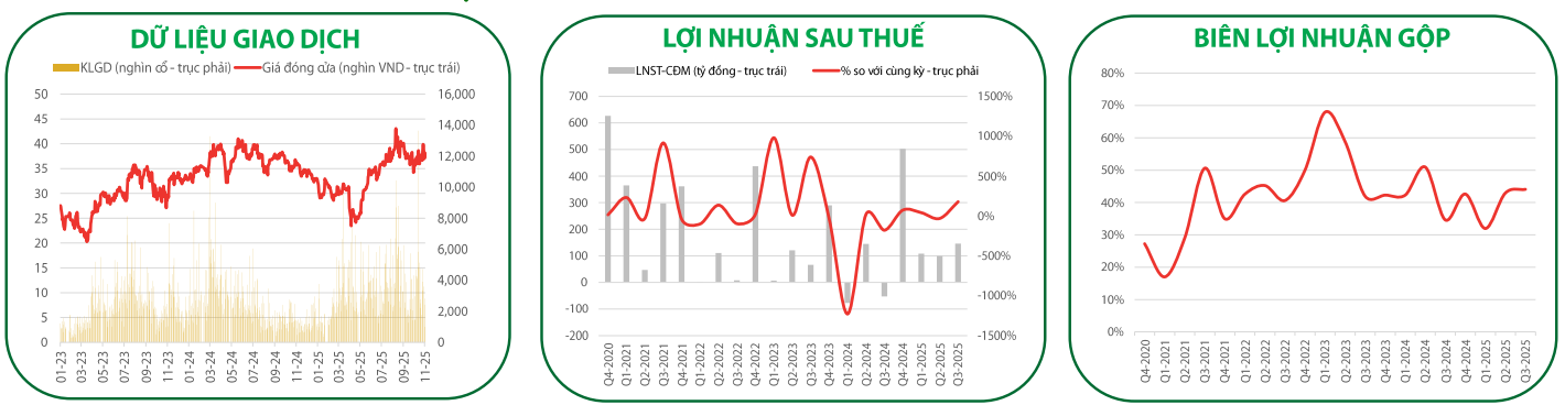 Các chỉ tiêu tài chính quan trọng của <a style='text-decoration: none;' href='/NLG'>NLG</a> (Ảnh VDSC)