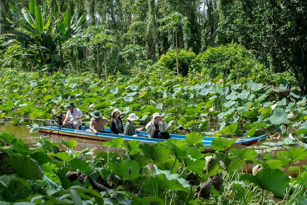 Dòng sông của Việt Nam có màu nước thay đổi theo mùa, chỉ dài 42km nhưng chạy xuyên khu rừng 2.000km2 quý hiếm bậc nhất thế giới - ảnh 4