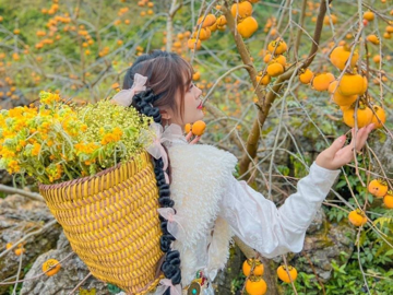 Cách trung tâm Hà Nội 200km có nơi được mệnh danh là 'Đà Lạt của miền Bắc', đang bước vào mùa hồng chín rực rỡ