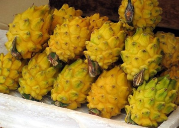 ‘Siêu trái cây’ của Việt Nam khiến người Trung Quốc phát sốt: Xuất khẩu số 1 thế giới, sản lượng 1 triệu tấn/năm