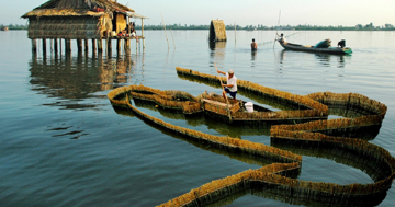 Việt Nam sắp có khu du lịch sinh thái gần 2.000ha, tọa lạc tại khu vực có đầm nước tự nhiên lớn nhất Đồng bằng sông Cửu Long