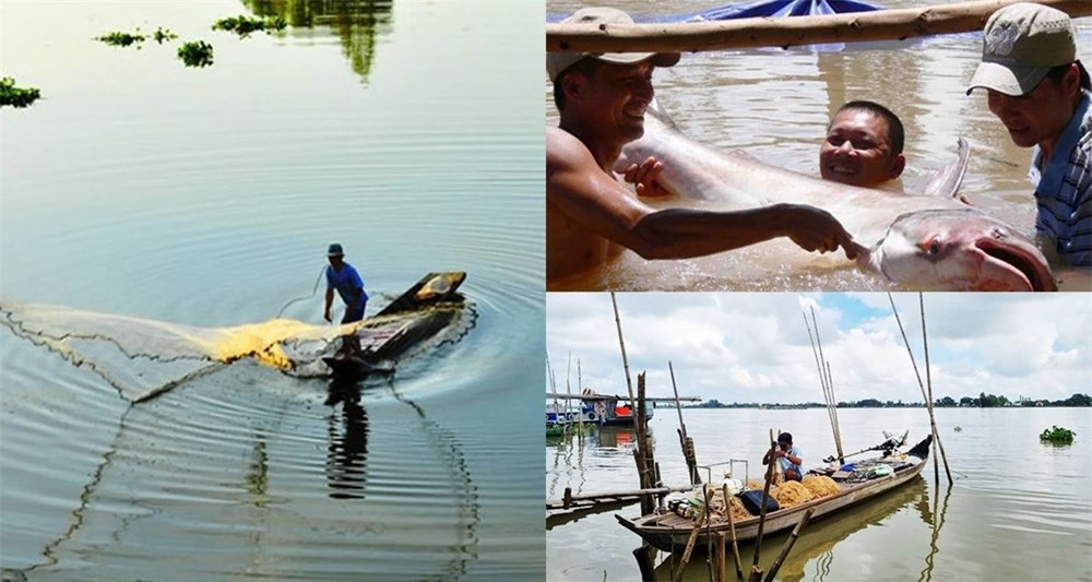 Con sông 6km ngắn nhất Việt Nam, là cứ địa của loài 'quái ngư' khổng lồ, dòng nước chảy xiết đến mức có thể lật thuyền - ảnh 4