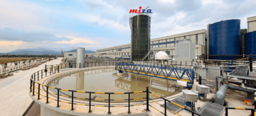 Miza lãi 9 tháng tăng 87%, nắm gần 800 tỷ đồng tiền mặt