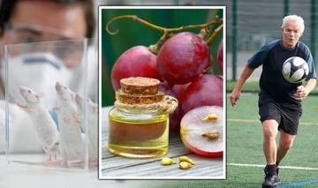 Startup Trung Quốc chế tạo được sản phẩm mà Tần Thủy Hoàng dành cả đời theo đuổi