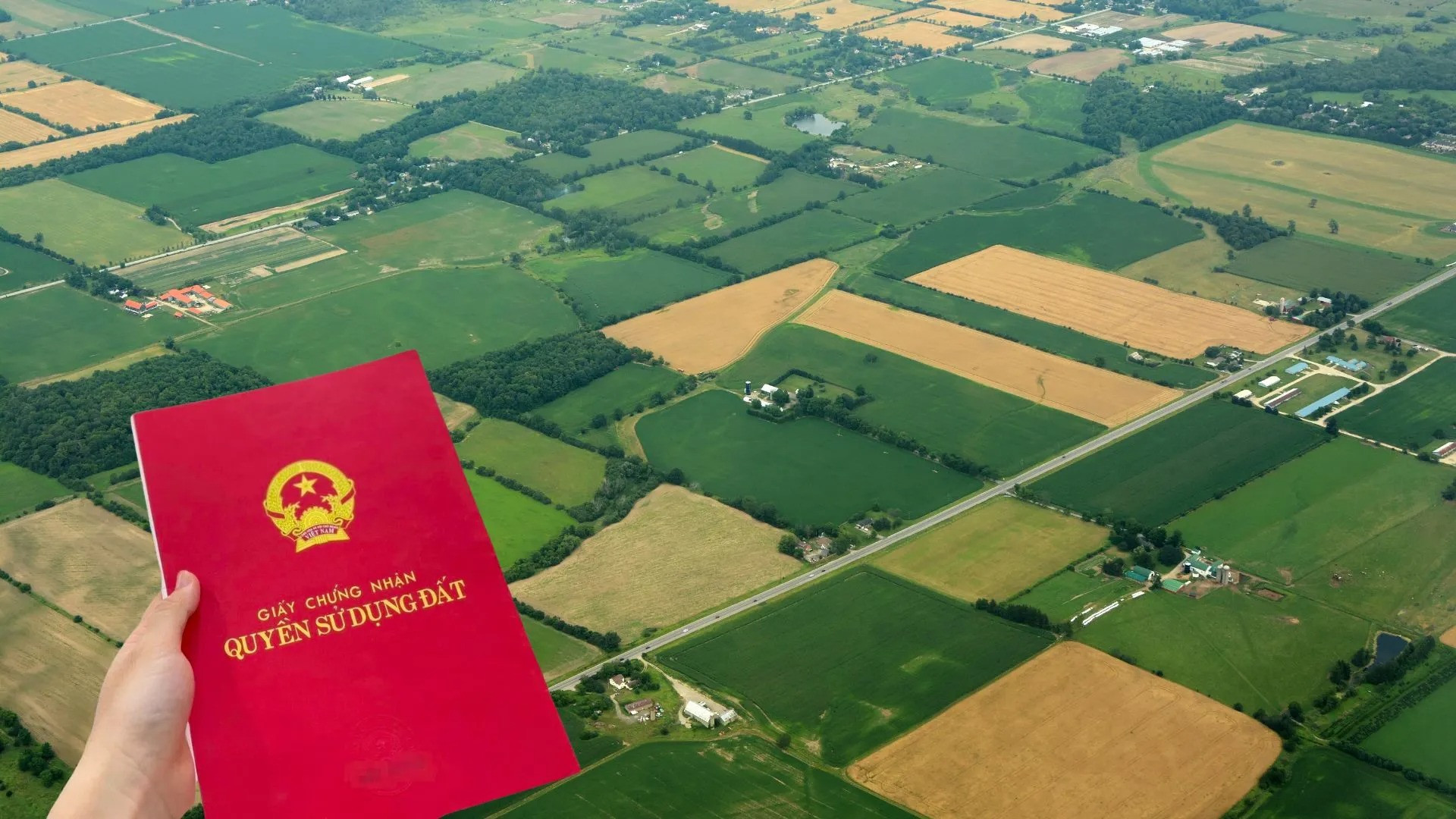 Từ giờ, điều kiện cấp sổ đỏ cho đất nông nghiệp gồm những gì?- Ảnh 1.