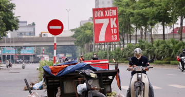 Dừa xiêm 7.000 đồng bán tràn ngập Hà Nội