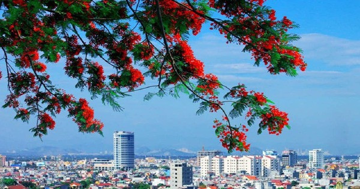 Hải Phòng chuẩn bị áp dụng bảng giá đất mới, mức cao nhất dự kiến lên tới 160 triệu đồng/m2