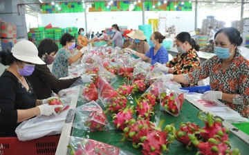 Quy định mới về truy xuất sản phẩm của Trung Quốc tác động gì tới hàng Việt?