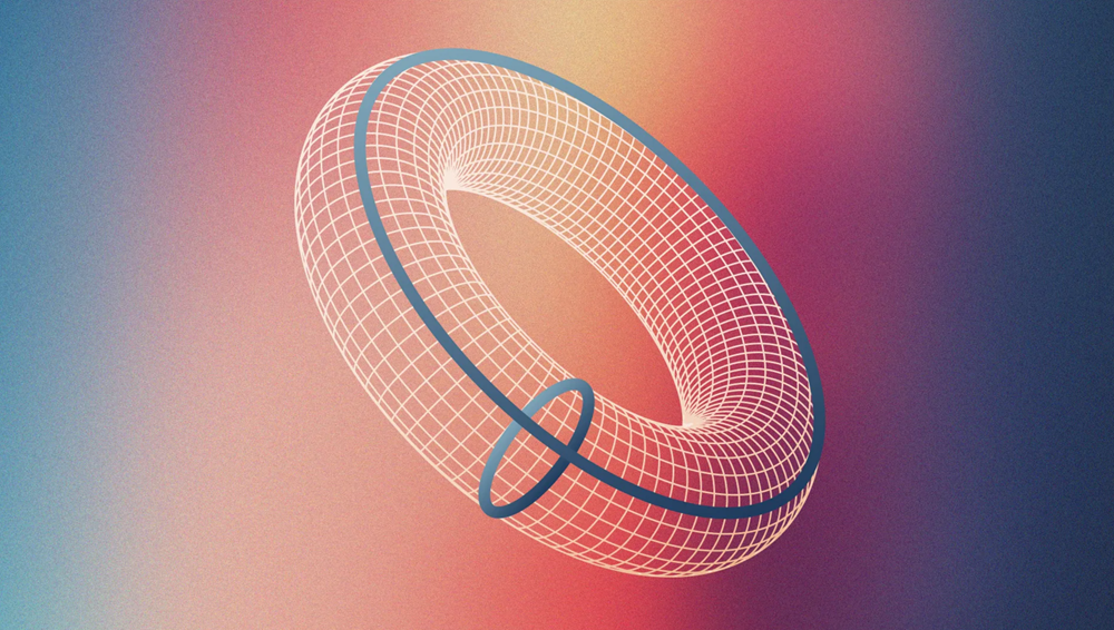 Thần đồng toán học đạt điểm tuyệt đối 40/40 Olympic Toán quốc tế năm 16 tuổi, giải được bài toán chấn động giới khoa học nhưng từ chối cả giải thưởng Fields - ảnh 1