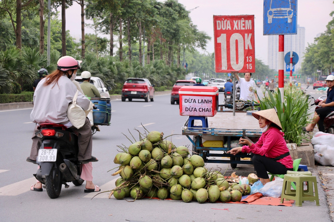 Nhiều người mua dừa về uống vì giá img-9591.jpg