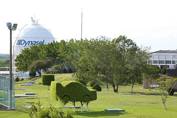 Cao su Trung Quốc bị áp thuế chống bán phá giá vĩnh viễn, Bắc Kinh nổi giận - ảnh 2