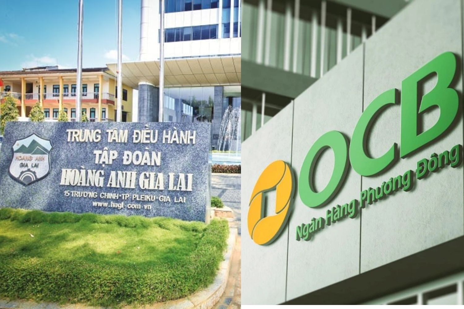 Thiết kế chưa có tên (33)