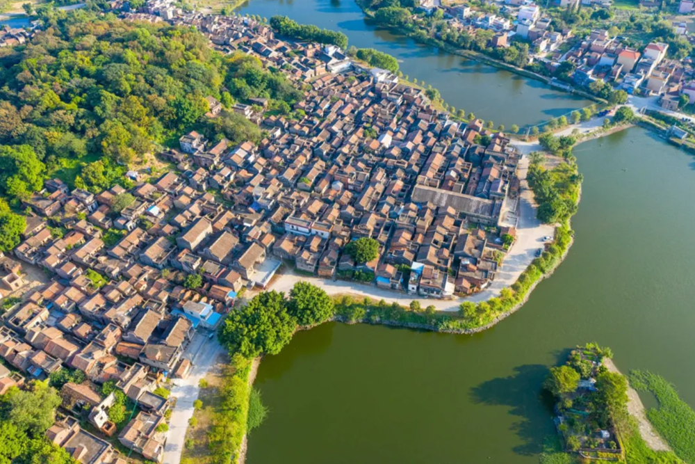 Ngôi làng nghèo bán 1.800 tấn 'kho báu', đổi đời nhờ ‘ngân hàng xanh’ - ảnh 3