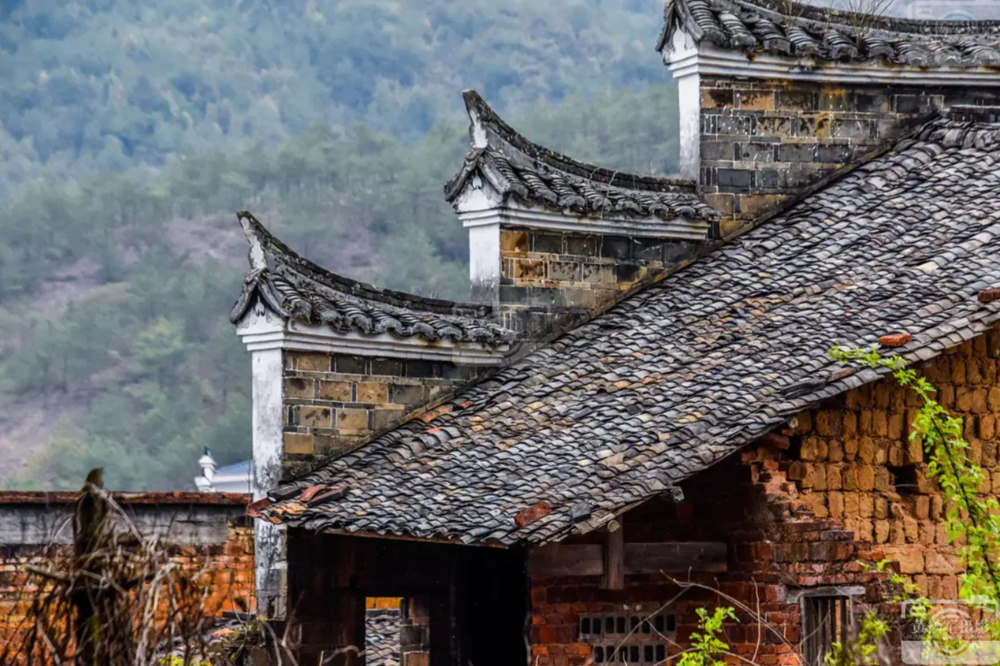 Ngôi làng nghèo bán 1.800 tấn 'kho báu', đổi đời nhờ ‘ngân hàng xanh’ - ảnh 2