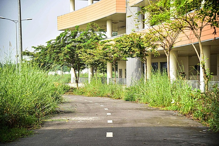 Bệnh viện đa khoa 1.500 giường lớn nhất TP. HCM sau 10 năm xây dựng dự kiến vận hành năm 2026- Ảnh 1.