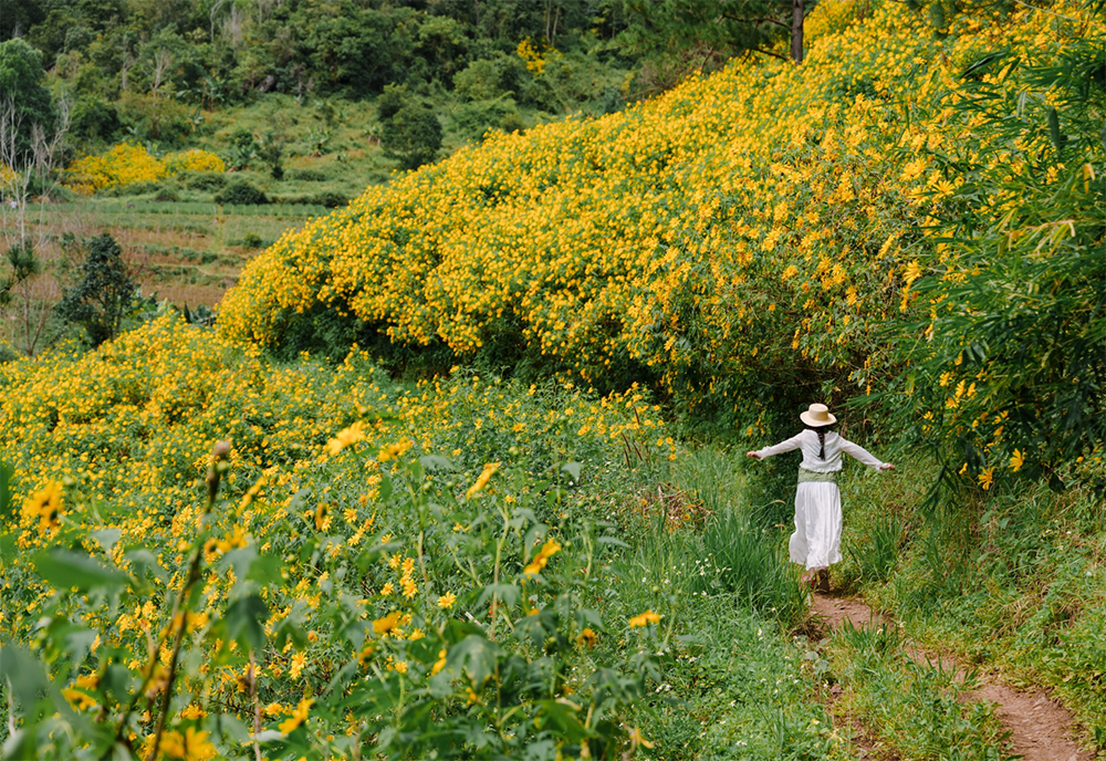 Du lịch Việt bùng nổ tour theo mùa chi phối thị trường, doanh nghiệp nắm ‘cơ hội vàng’ - ảnh 2