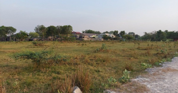 Người đàn ông mua đất trồng cây bị cả xóm cười chê, một năm sau nhận về số tiền bạc tỷ