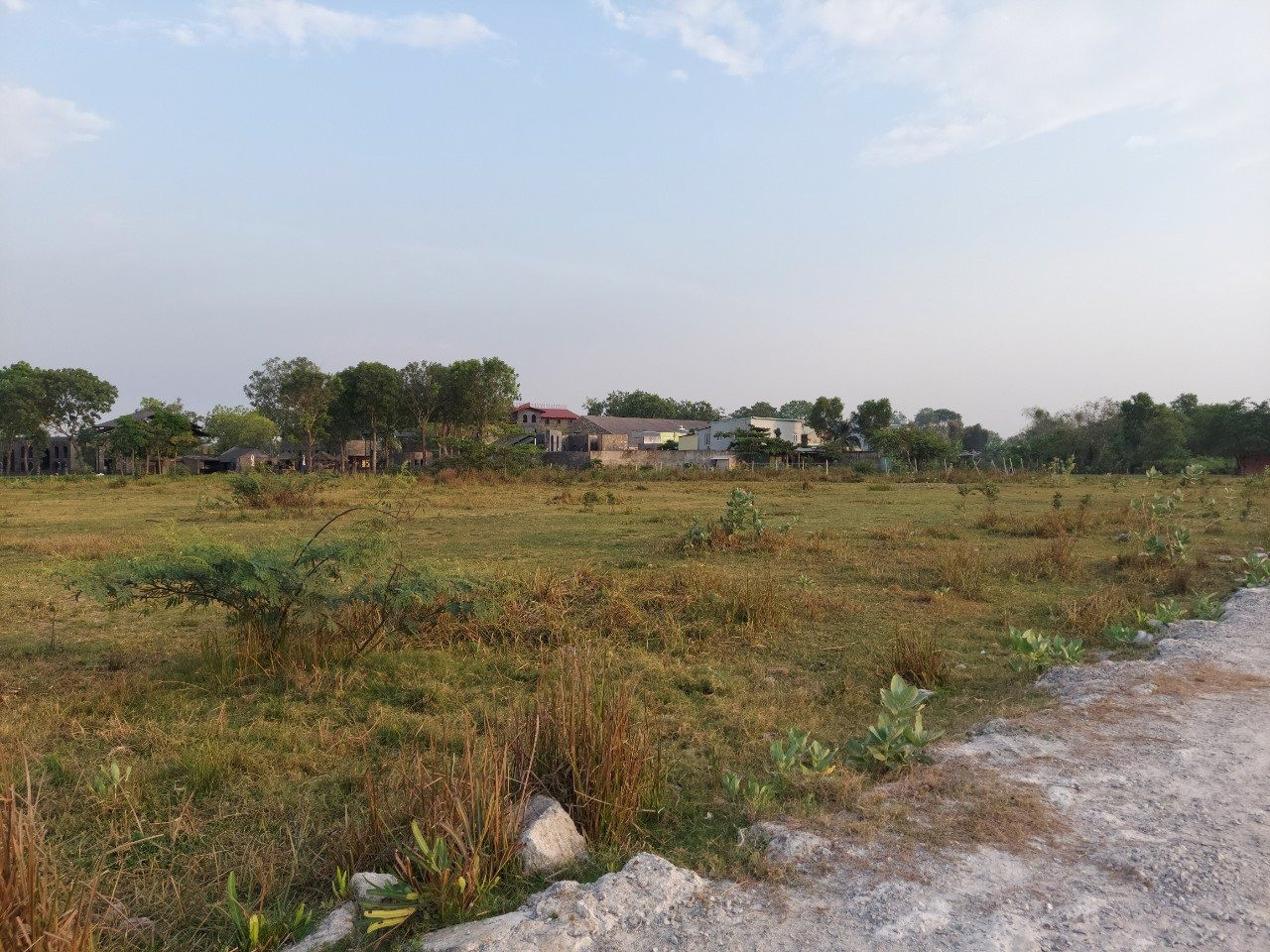 Người đàn ông mua đất trồng cây bị cả xóm cười chê, một năm sau nhận về số tiền bạc tỷ- Ảnh 1.