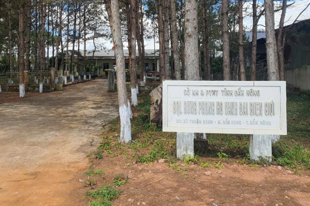 Bắt Phó Giám đốc Ban quản lý rừng Nguyễn Xuân Khương - ảnh 1