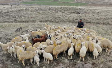 Nghề ‘hái ra tiền’ nhưng cực khát nhân lực, tháng trả trăm triệu đồng mà không cần bằng cấp cao