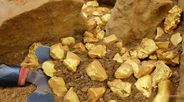 Phong tỏa khẩn cấp 150 tấn vàng, trị giá hơn 120.000 tỷ trong vườn của một người nông dân