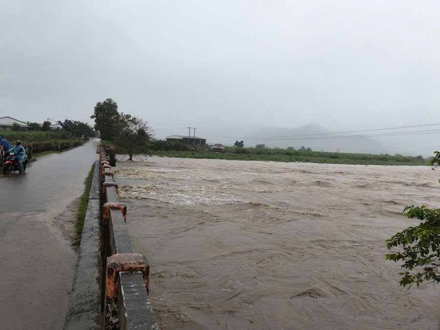 Gia Lai di dời khẩn cấp 1.000 hộ dân - ảnh 3