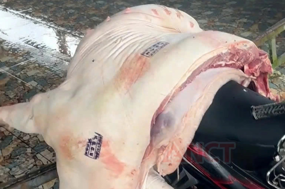 Bắt cán bộ viên chức sinh năm 1980 - ảnh 3