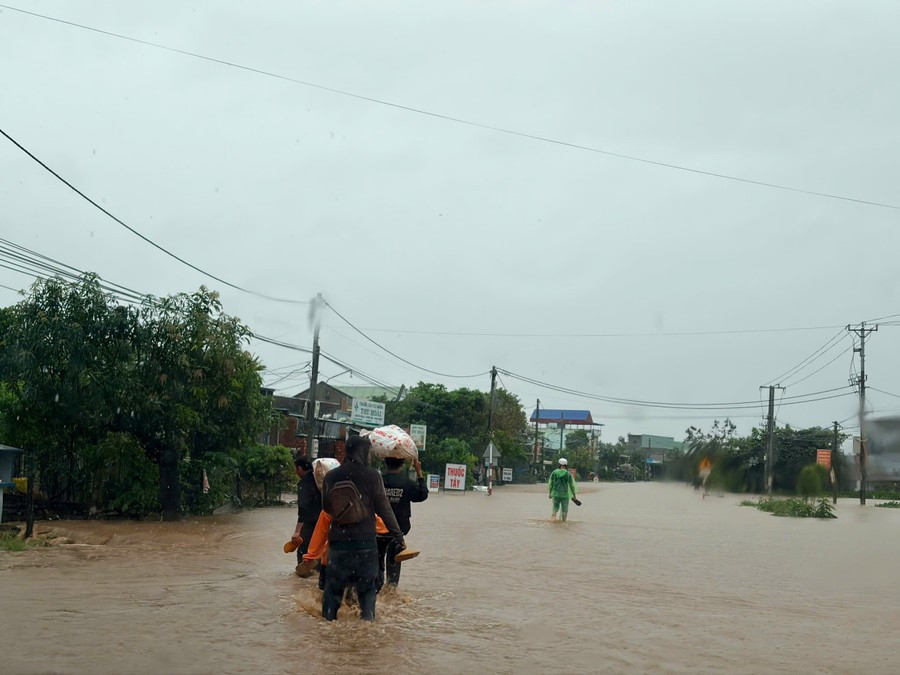 Gia Lai di dời khẩn cấp 1.000 hộ dân - ảnh 9