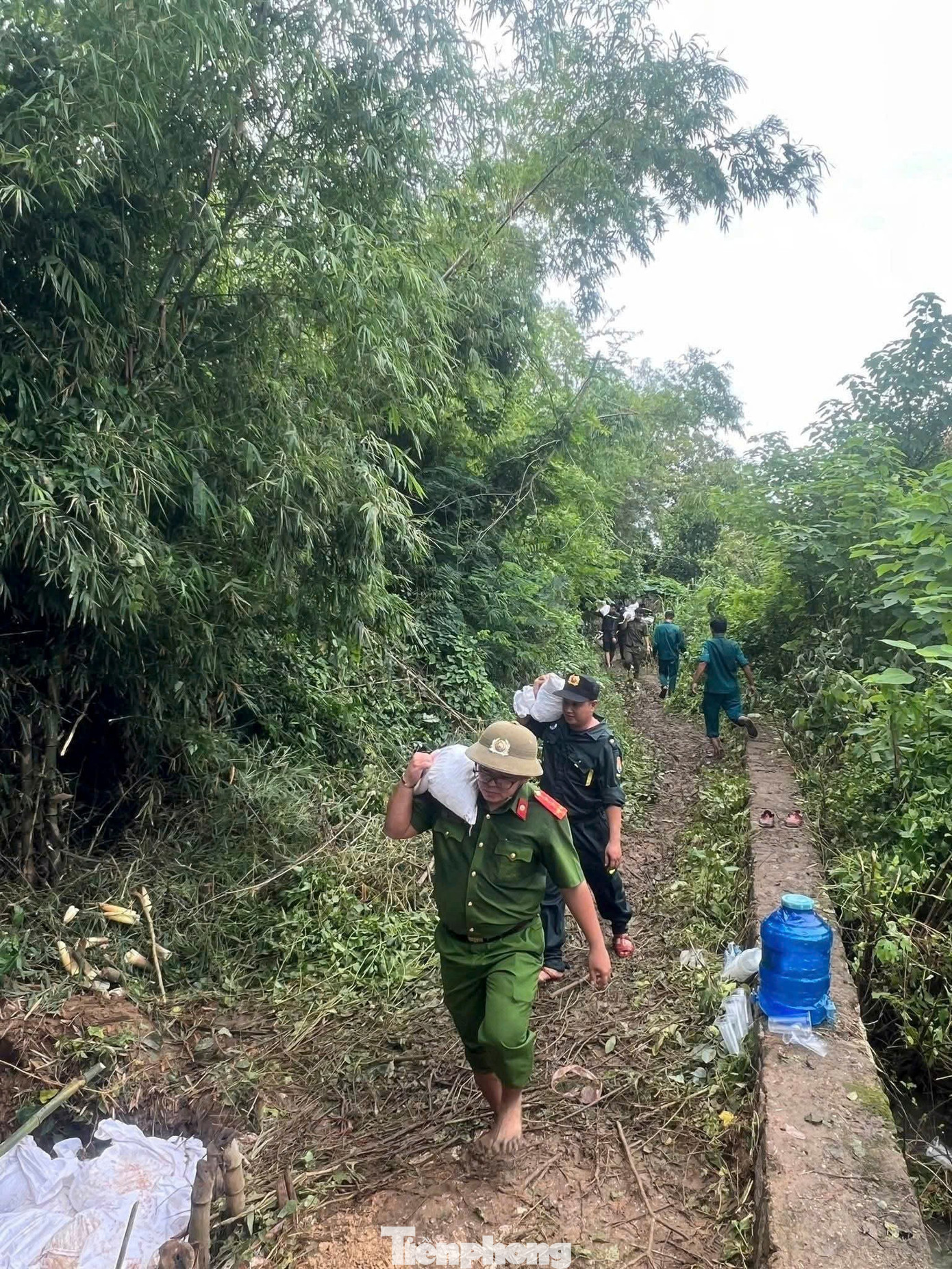 Các lực lượng được huy động để tiến hành gia cố. tp-3.jpg