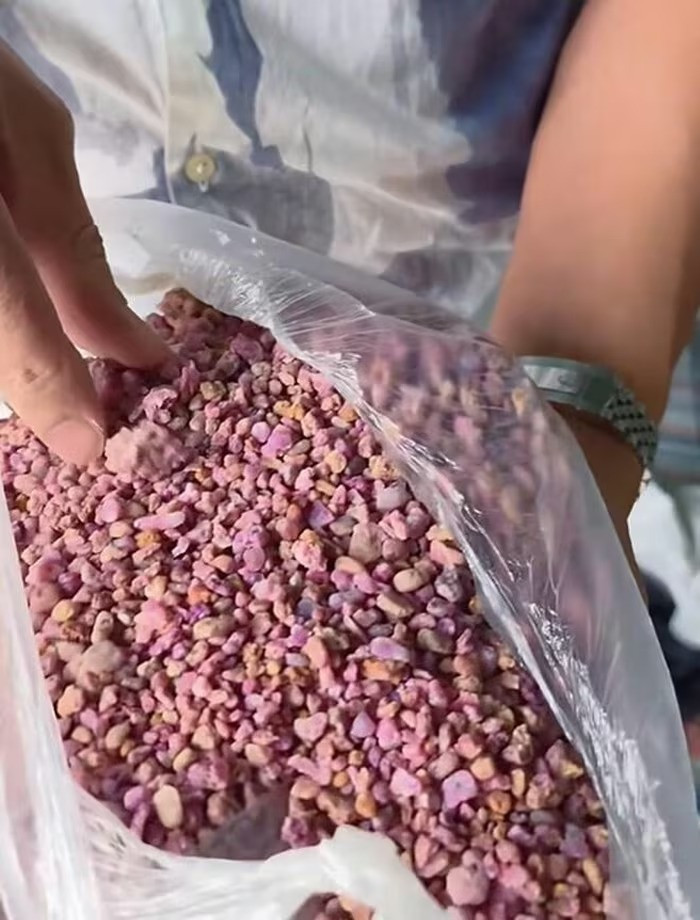 Thay áo mới cho căn biệt thự 3 mặt tiền đắt đỏ, vợ chồng diễn viên Mạnh Trường hé lộ về bí quyết phong thủy- Ảnh 4.