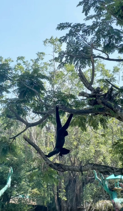 Chỉ vài giờ nữa, KDL 6.000 tỷ lớn bậc nhất Đông Nam Á của vợ chồng ông Dũng 'lò vôi' sẽ tặng vé miễn phí cho đối tượng đặc biệt này- Ảnh 7.