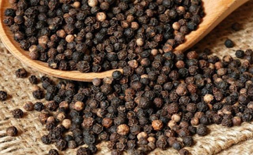 Việt Nam nắm giữ 'kho báu vàng đen' được cả thế giới săn lùng: Xuất khẩu vượt mốc 1,3 tỷ USD chỉ sau 10 tháng, tiến sát kỷ lục cao nhất lịch sử