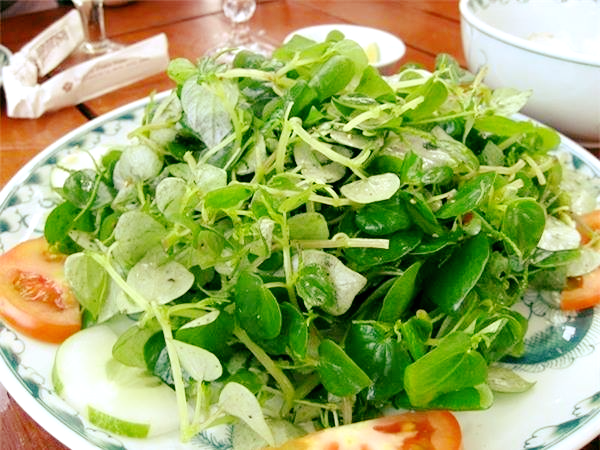 Việt Nam có loại rau được cho là tốt nhất thế giới, CDC Mỹ chấm 100/100 điểm, giá cực rẻ - ảnh 2