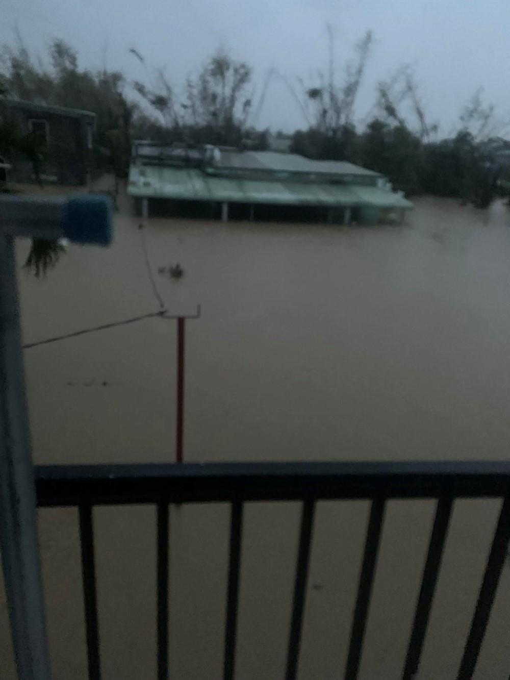 Nam diễn viên Mưa đỏ cầu cứu - ảnh 1