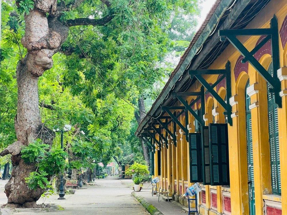 Thầy giáo duy nhất của Việt Nam được UNESCO vinh danh: Có học trò làm vua, tên được đặt cho hàng chục trường - ảnh 4