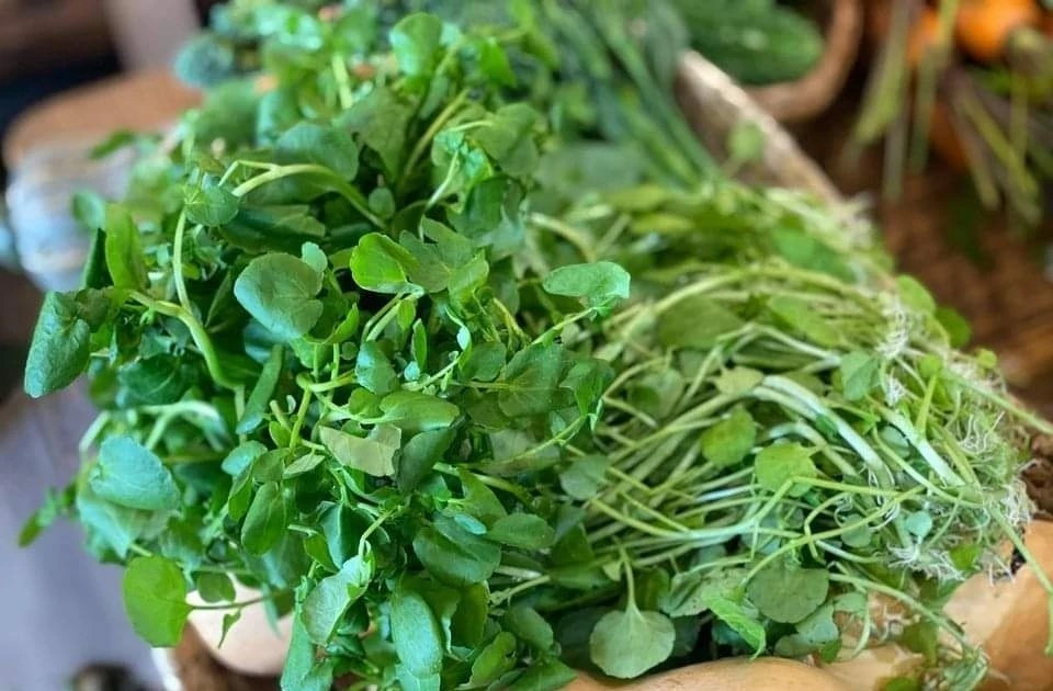 Việt Nam có loại rau được cho là tốt nhất thế giới, CDC Mỹ chấm 100/100 điểm, giá cực rẻ - ảnh 1