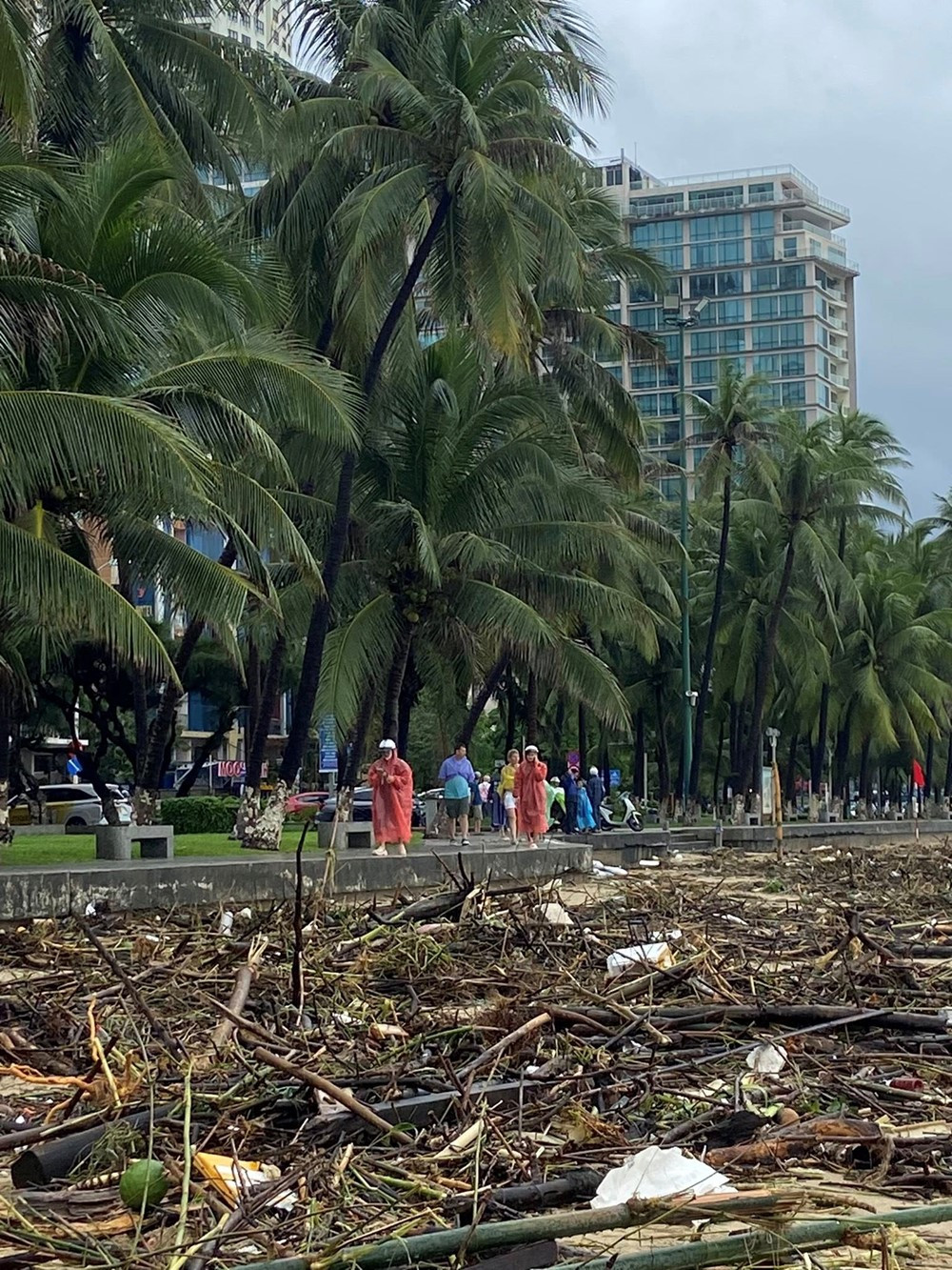 Bãi biển 'đẹp nhất hành tinh' của Việt Nam tan hoang sau trận lũ lịch sử - ảnh 5