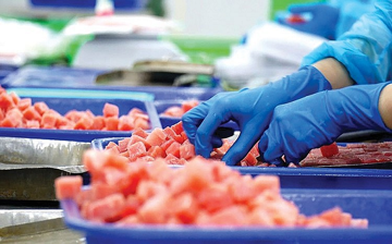 'Siêu thực phẩm' Việt lên ngôi: Thu về gần 800 triệu USD, EU - Italy tích cực chốt đơn, Ai Cập thành 'điểm vàng'