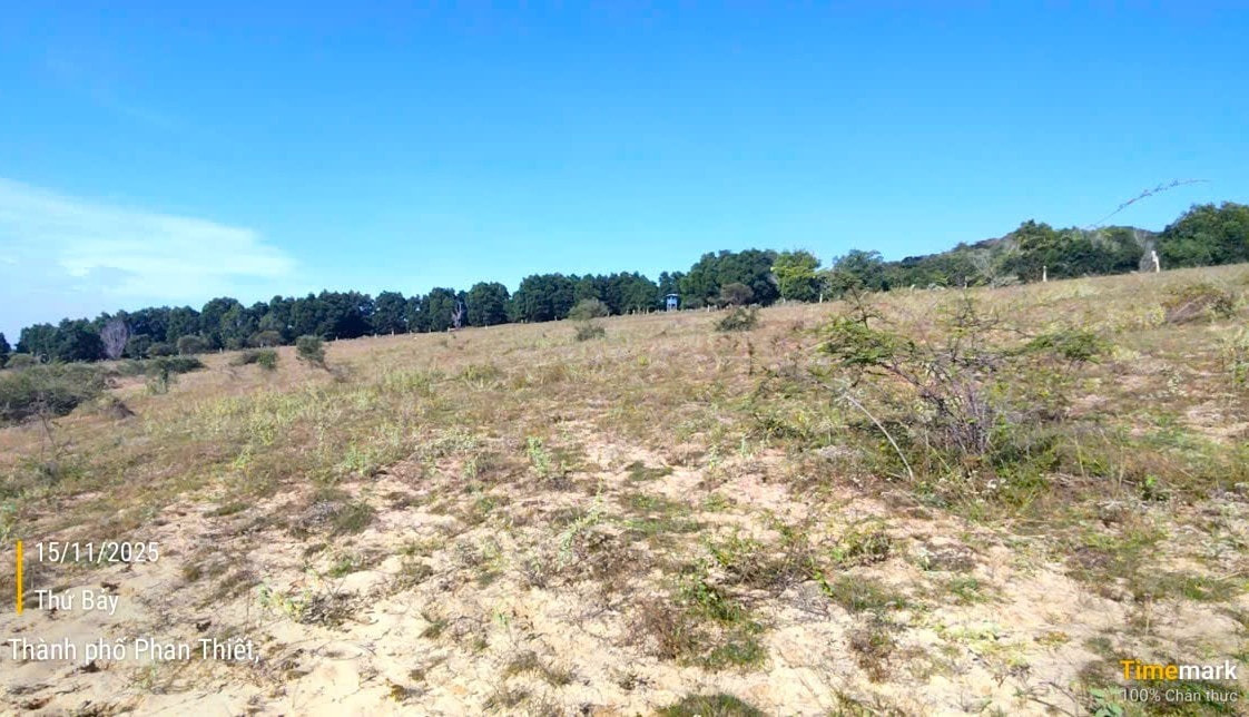 Cưỡng chế hơn 35.000m2 đất của bà Nguyễn Thị Bảy- Ảnh 1.